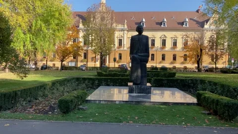 Nicolae Titulescu Statue Video stock 166363647