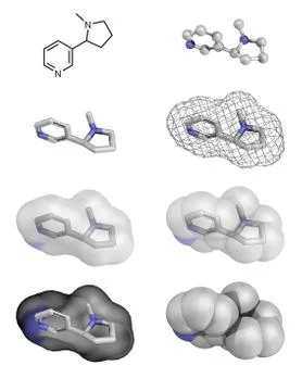 Nicotine - collage with different representations Illustrazione stock