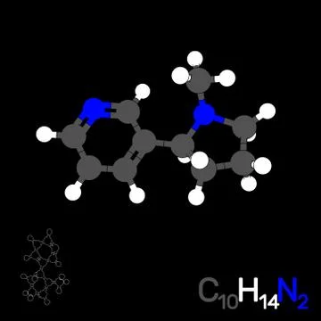 Nicotine model molecule. Isolated on black background. Vector illustration. Иллюстрация