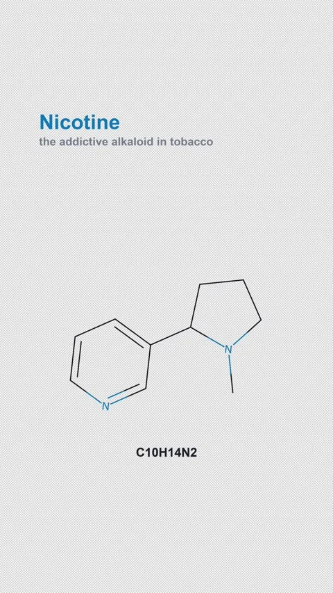 Nicotine Molecular Structure Labeled Chemistry Alpha 4K Vertical 9x16 Light Stock Footage 340007555
