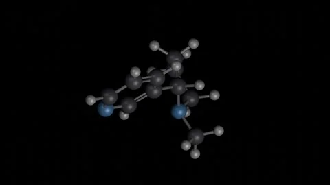 Nicotine molecule 3D building and rotating on black, 4K scientific loop Vídeos de archivo 344702046