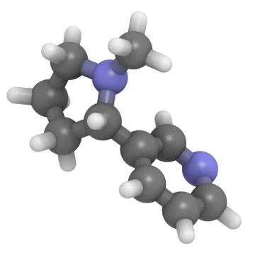 Nicotine molecule, chemical structure Stock Illustration