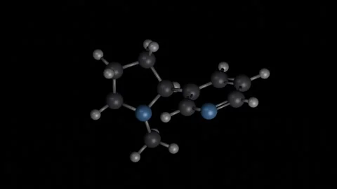 Nicotine molecule rotating 3D model, 4K scientific visualization loop Vídeos de archivo 344702049