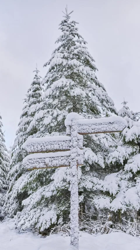 Nieve 19 Stock Footage 344957993