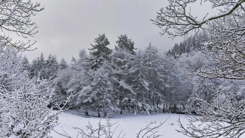 Nieve 4 Stock Footage 344958063