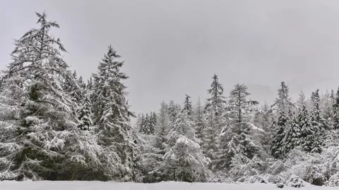 Nieve 6 Stock Footage 344958348