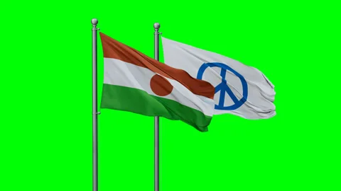 Niger and Peace two flags Stock Footage 294261781