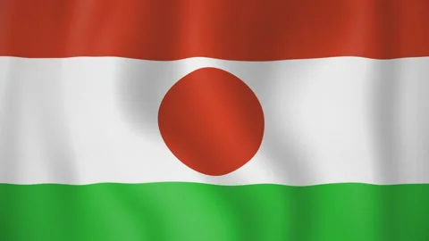 Niger animated flag. Seamless loop. 4K Stock Footage 145450056