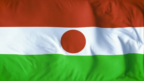 NIGER COUNTRY FLAG Stock Footage 282390876