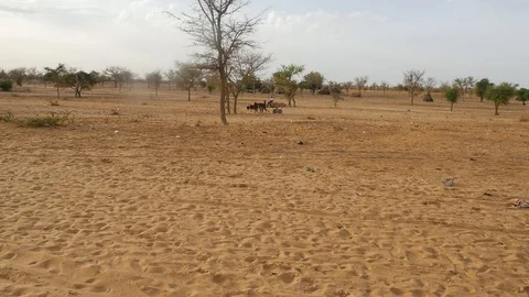 Niger Desert Stock Footage 97984429