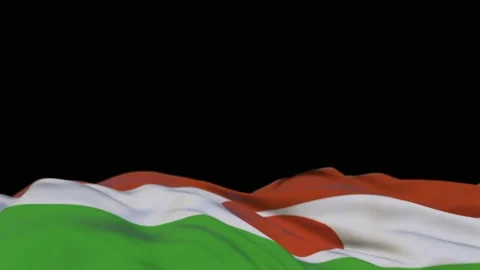 Niger fabric flag waving on the wind loop. Niger embroidery stiched cloth ban Video stock 194425518