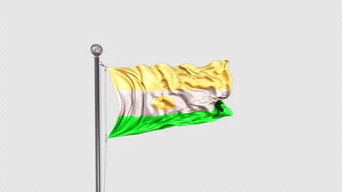 Niger Flag  Animation Loop Include Alpha 3D Rendering Stock-Footage 312084232