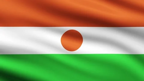 Niger flag animation waving background full screen Video stock 267297372