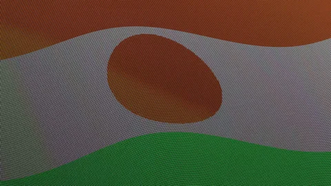 Niger Flag Digital Particle Waving Seamless Loop Animation Stock Footage 339303655