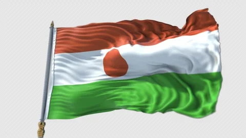 Niger Flag on a flagpole Waving on Transparent Alpha Background Stock Footage 292301325