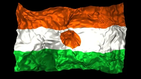 Niger flag Stock Footage 110825409