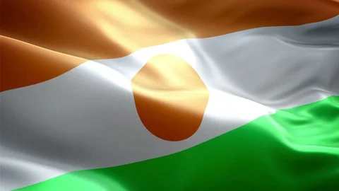 Niger Flag Stock Footage 116390983