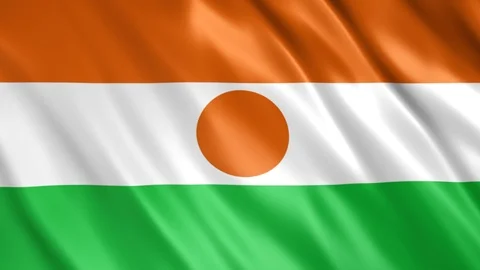 Niger Flag Stock Footage 123821092