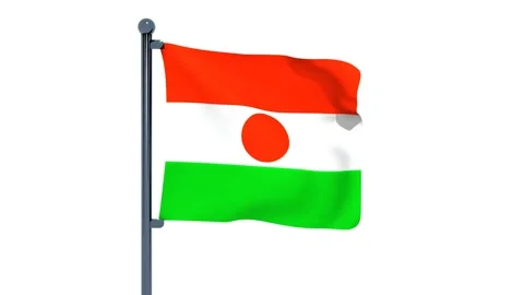 Niger Flag Stock Footage 150202742