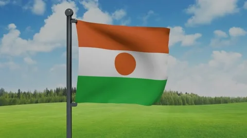 Niger Flag Stock Footage 153254934