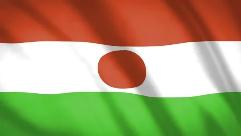 Niger Flag  Stock Footage 188150393