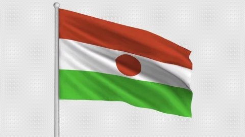 Niger Flag Stock Footage 211474535