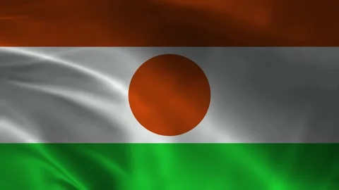 Niger Flag Stock Footage 336903944