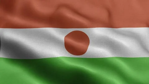 Niger flag Front Stock Footage 318667425