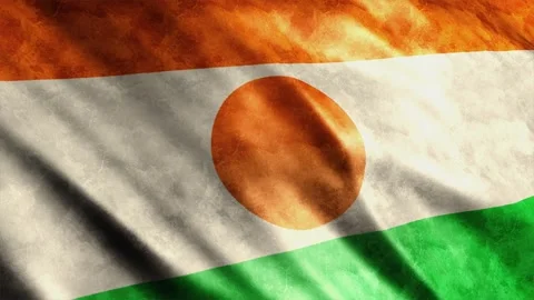 Niger Flag Grunge Stock Footage 249037479