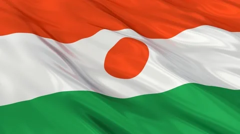 Niger flag Seamless Video stock 49089007