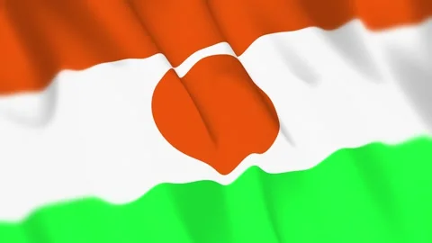 Niger Flag Seamless Loop 4k 60fps on Sky Background Stock Footage 340351343