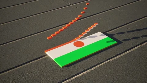 Niger Flag - Slow Motion Stock Footage 318839479