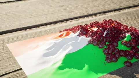 Niger Flag - Virus Growth Stock Footage 320280217