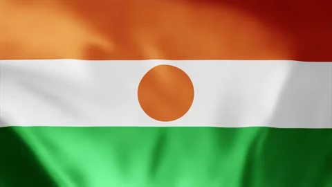Niger flag is waving 3D animation. Flag seamless loop animation 4k. Stock Footage 258452278