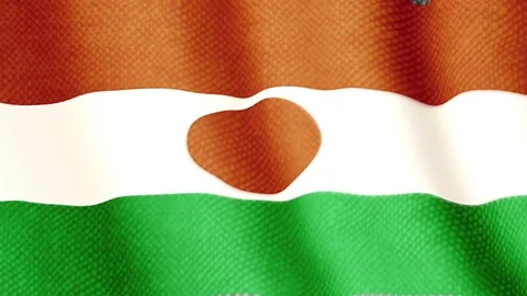 Niger flag waving animation Stock Footage 77615253