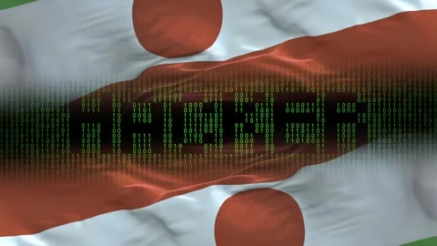 Niger flag - Waving flag on matrix binary code background Stock Footage 321420449