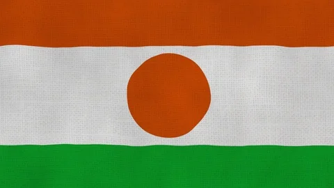 Niger flag waving Stock Footage 102641591
