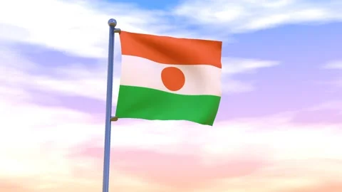 Niger Flag waving in the high wind Video stock 154873409