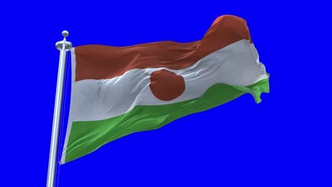 Niger Flag Waving in Loopable and Textured green screen background Stock Footage 296876061