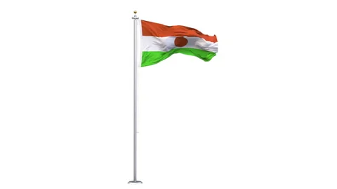 Niger flag waving looping with transparent background. Vídeo Stock 332923372