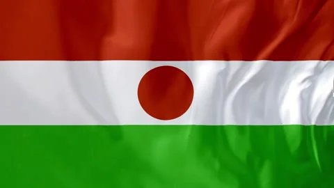 Niger Flag Waving Motion Animation 4K Stock Footage 314037754