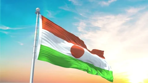 Niger-Flag Waving Realistic With Sky Stock Footage 301440042