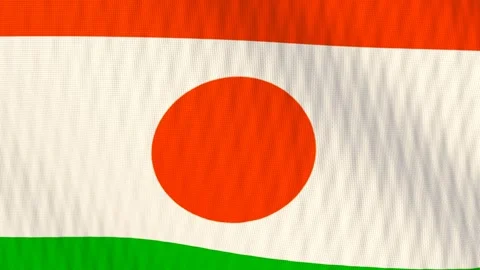 Niger flag waving white background loop Видео 342962943