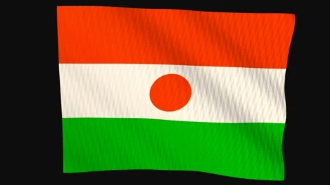 Niger flag waving in the wind on a black background Stock-Footage 343213062