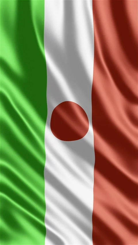 Niger Flag Waving in the Wind Stock Footage 336670197