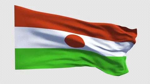 Niger Flag Waving in the Wind Stock Footage 336670643