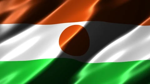 Niger flag waving in the wind Vídeo Stock 348686450