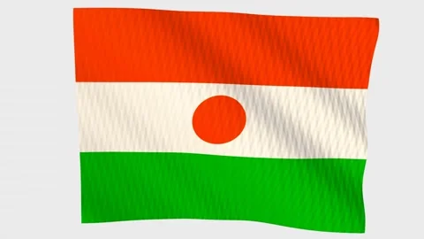 Niger flag waving in the wind on a grey background Vídeos de archivo 343219133