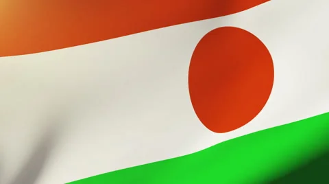 Niger flag waving in the wind. Looping sun rises style.  Animation loop Stock Footage 48910307