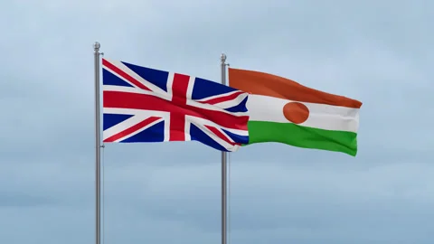 Niger national flag Stock Footage 251748027